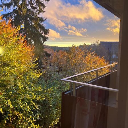 Moderne Und Zentral Gelegene Ferienwohnung In Braunlage Mit Rodelpiste Und Start Ski Langlauf In 300 Metern Entfernung Ngoại thất bức ảnh