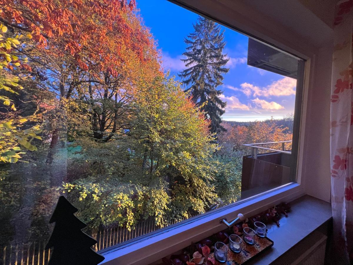 Moderne Und Zentral Gelegene Ferienwohnung In Braunlage Mit Rodelpiste Und Start Ski Langlauf In 300 Metern Entfernung Ngoại thất bức ảnh