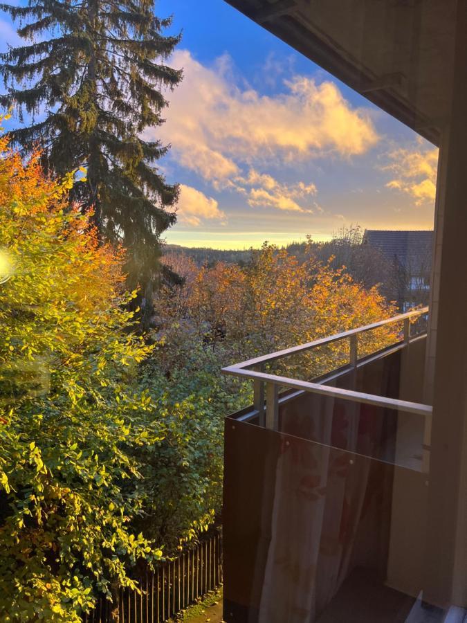 Moderne Und Zentral Gelegene Ferienwohnung In Braunlage Mit Rodelpiste Und Start Ski Langlauf In 300 Metern Entfernung Ngoại thất bức ảnh