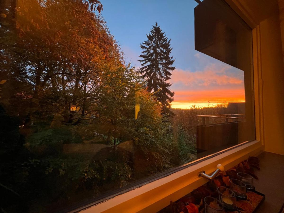 Moderne Und Zentral Gelegene Ferienwohnung In Braunlage Mit Rodelpiste Und Start Ski Langlauf In 300 Metern Entfernung Ngoại thất bức ảnh